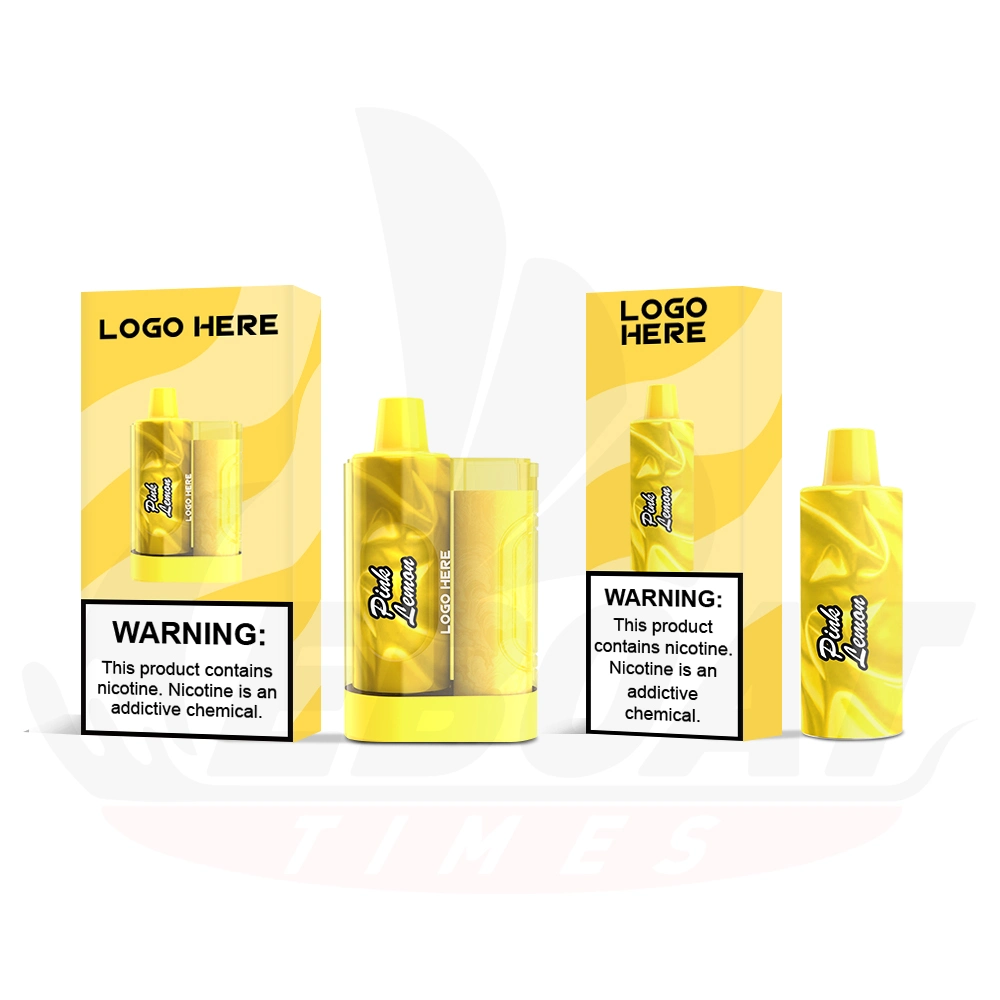 Boîte de barres de papier de gros, 10 ml, Pod remplaçable, Vape jetable 5000 vapeurs de houppes rechargeables 2% 5% de nicotine