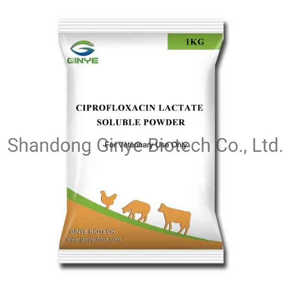 Chinese GMP Supplier Best Price Ciprofloxacin Lactate Soluble Powder