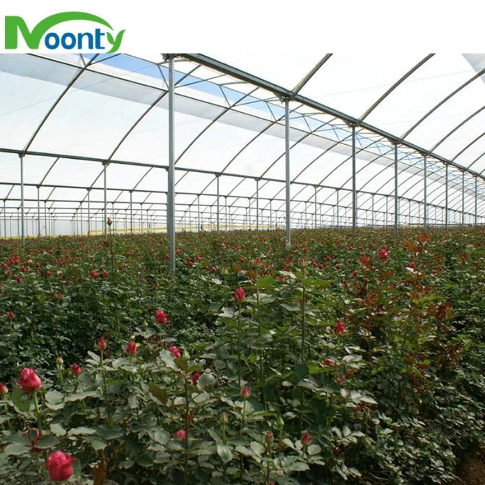 Factory Customized Turnkey High quality/High cost performance  Multispan Plastic Film Greenhouse with Hydroponics System