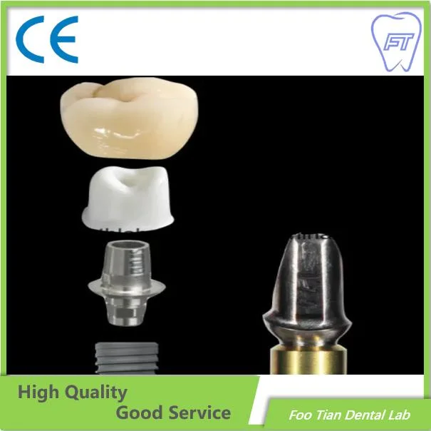 Zirconia Abutment Dental Abutment Dental Implant on Selling