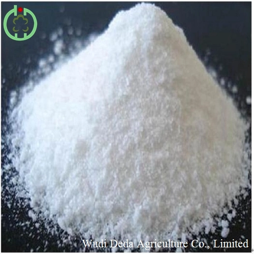 Animal Food Additives Dl-Methionine Hot Sale