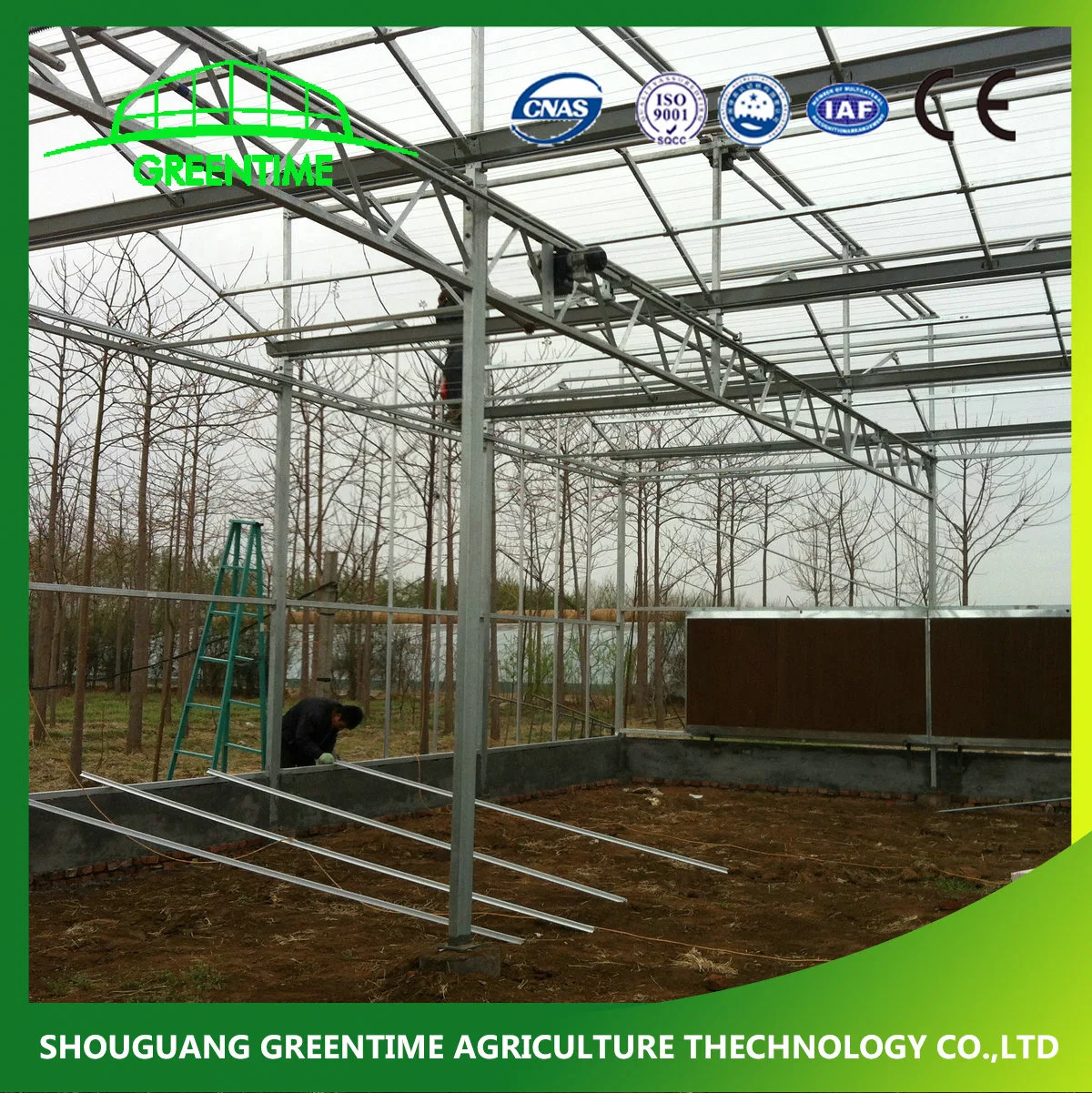 Hot Sale Commercial Polycarbonate Panels Hydroponic Greenhouse for Tomato