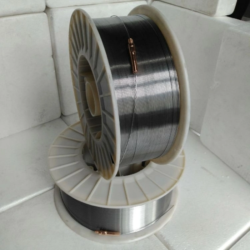 Supply Resources 0.3mm 0.5mm 0.7mm 0.8mm 1mm Ss Stainless Steel Lashing Wire for Springs and Decoration