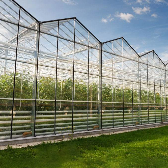 Verre de grande portée serre agricole Multi-span Maison verte pour les légumes