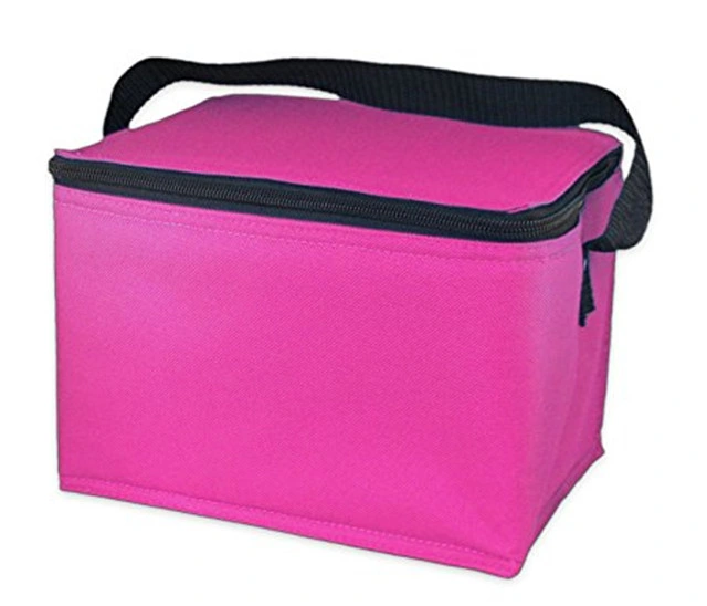 Factory Supply Recycling Silk Screen Resuable Non-Woven Ice Cream Fish Cooler Picnic Bag