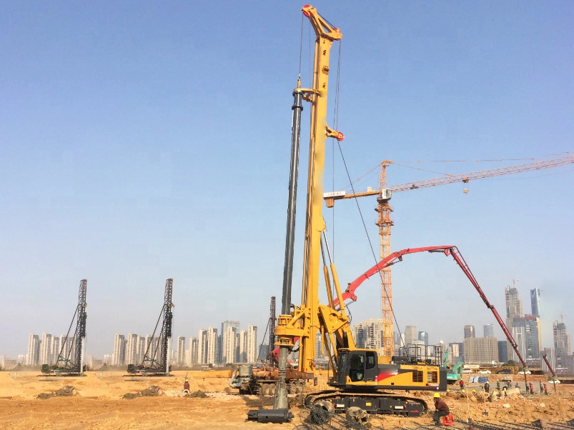 Concrete Construction Machine Xr220d Crawler Rotary Drilling Rig with High quality/High cost performance 