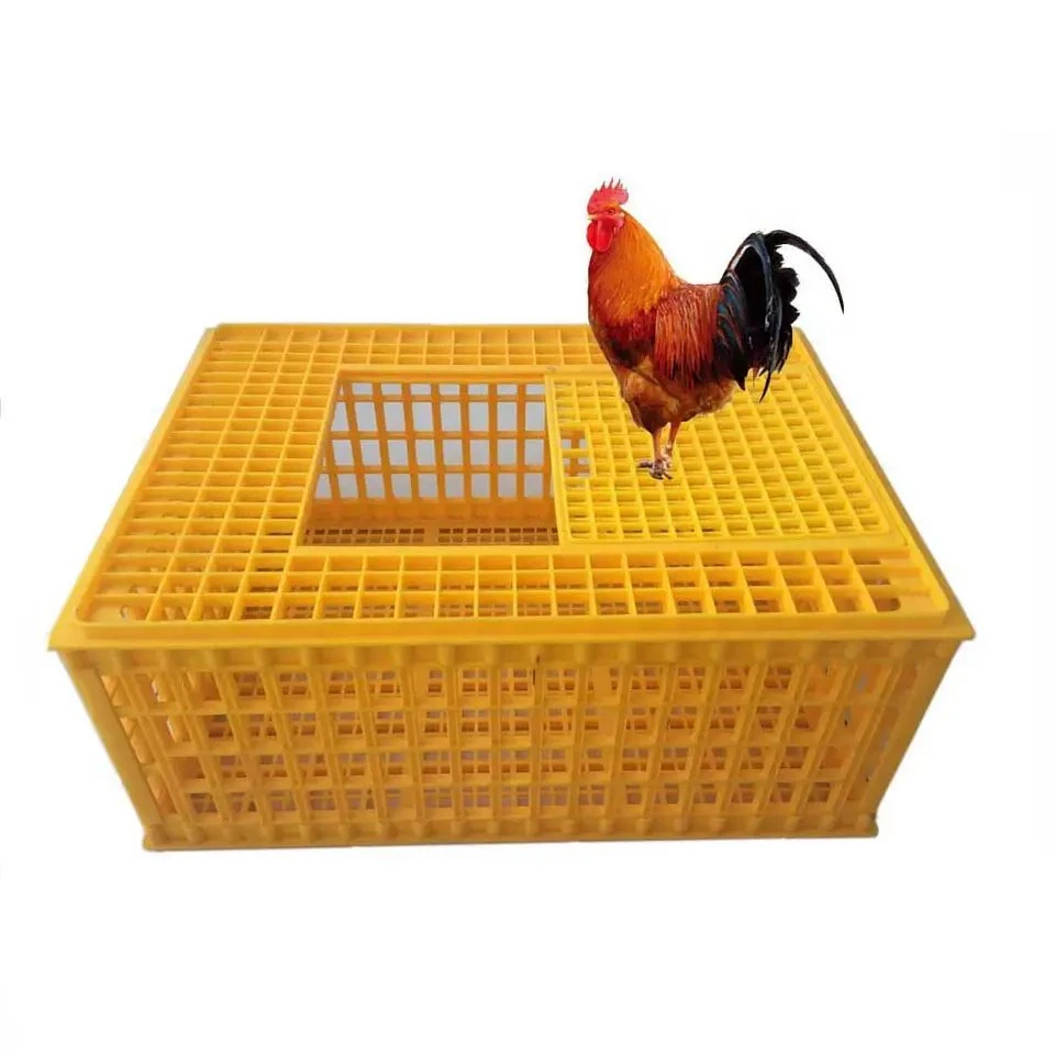 Best Selling Chicken/Broiler plástico Transporte Crate/Cage/Box