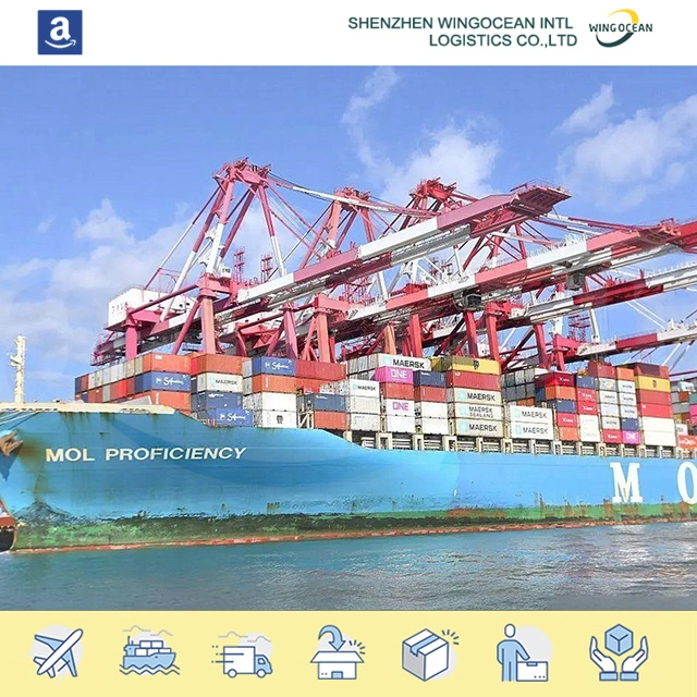 Transporte Internacional China para Arábia Saudita Serviço de Logística da carga Marítima