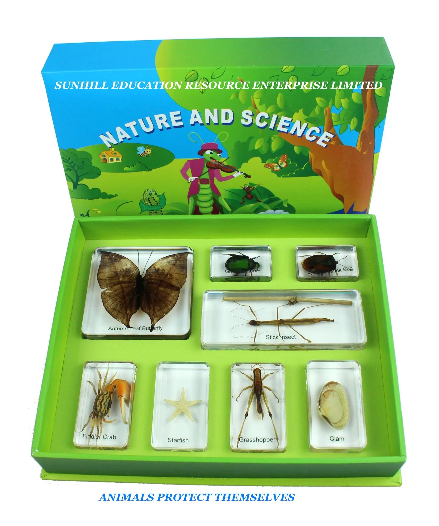 Children Toy, Nursery School Educationa Science Learning Toy, Kids Classroom Educationteaching Specimen for Kindergarten and Preschool-Chafer Bettle Set