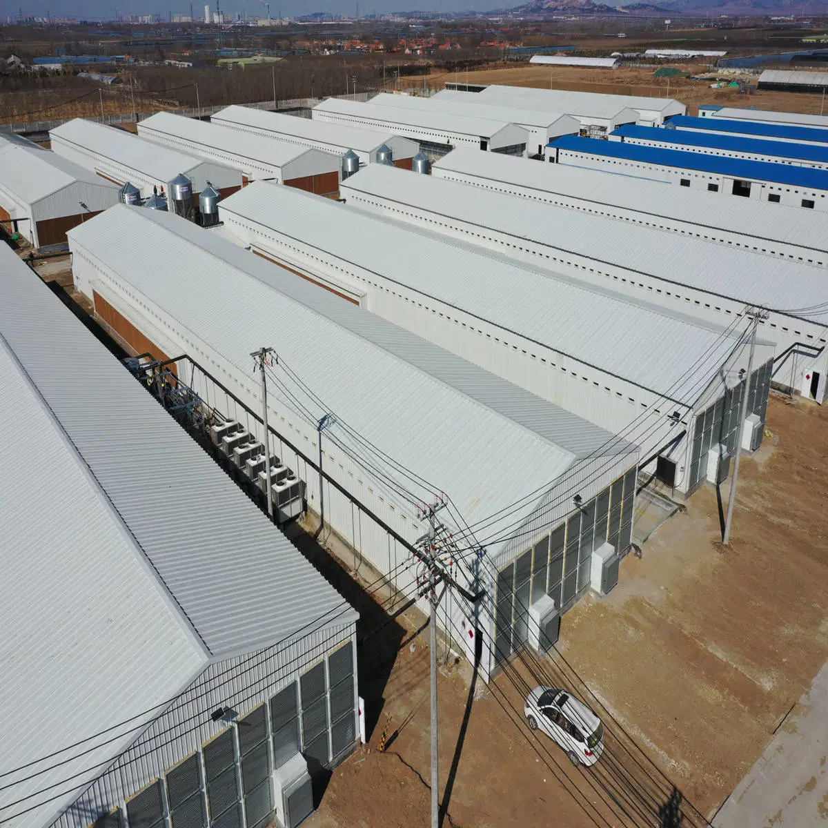 Large-Scale Breeding Broiler Equipment Demonstration Plot