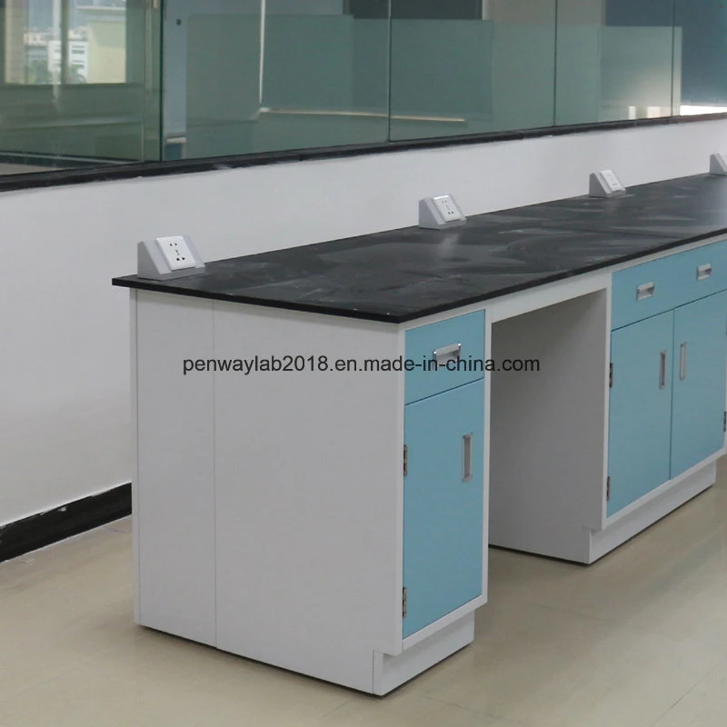 Stainless Steel Painted Steel MDF Material Laboratory Furniture