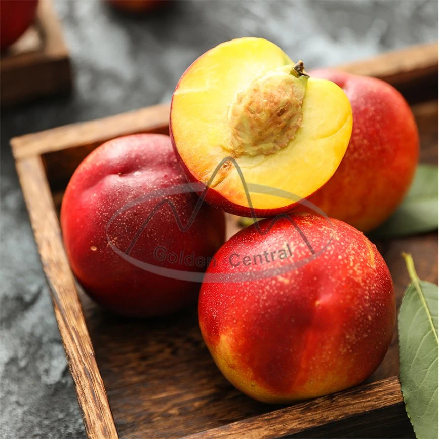 2023 New Crop Fresh Nectarine Peach Export for World