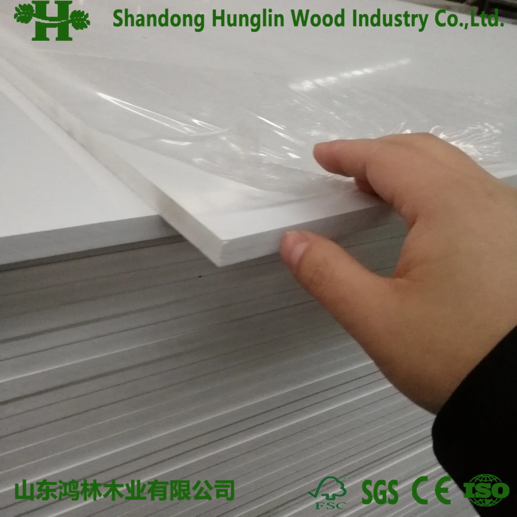 Environmentally Friendly Plastic Board/PVC Board From Original Factory