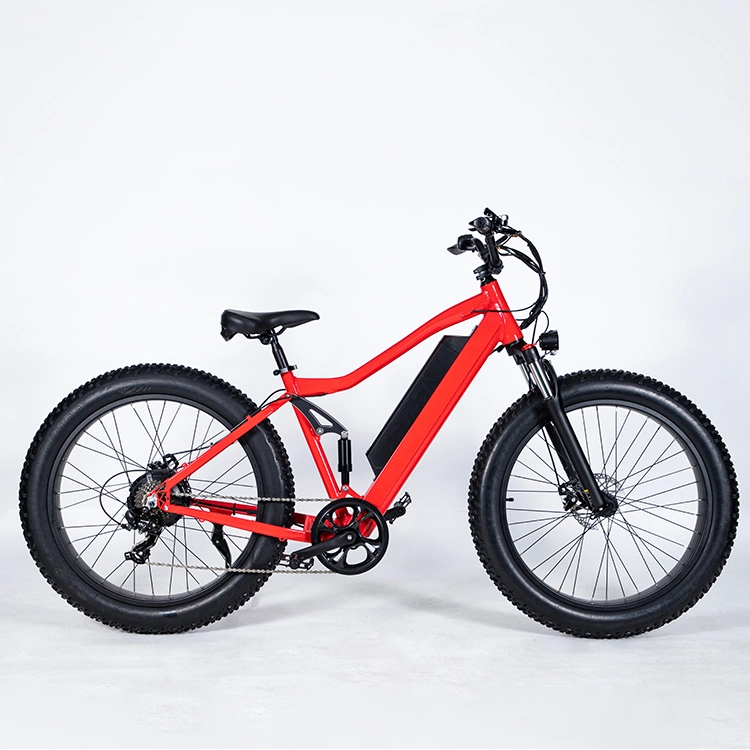 Zwei Rad Lithium-Batterie Elektro-Fahrrad Aluminium-Legierung 6-Gang für Pendeln