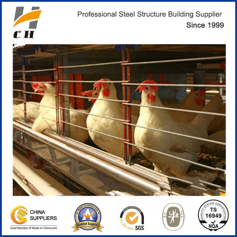 Factory Suppilers Prefab Light Steel Structure Broiler Layer Poultry Farm/Shed/House