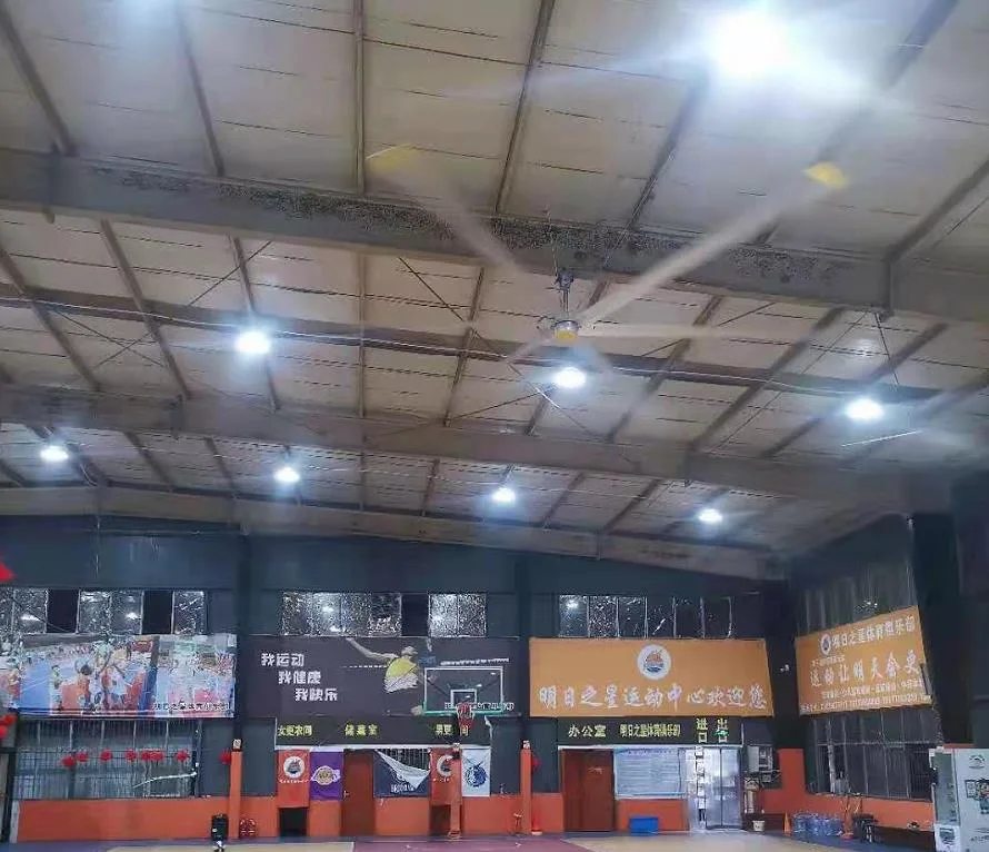 7.3m (24FT) Big Industrial Ceiling Hvls Fans Used in Gymnasiium for Air Cooling and Ventilation Fan