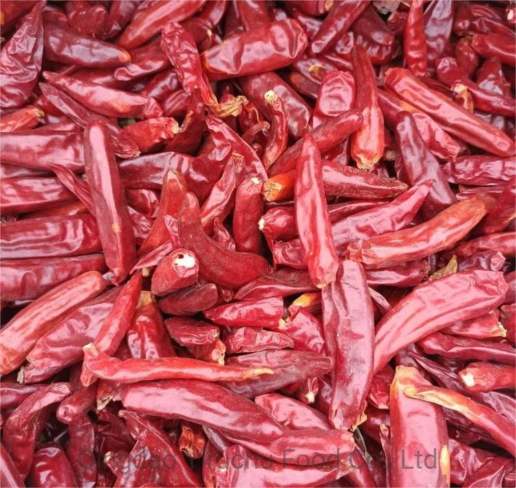 Hot Spicy Wholesale/Supplier Price Dried Chilli Chaotian Dry Red Chilli