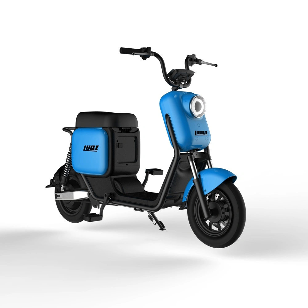 Mini-voiture de la Chine fournisseur dernière conception Kick Scooter électrique hors route pour adulte