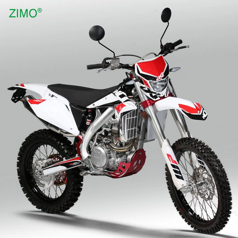 Popular Sport 450cc 12V Gas Fuel Systems Motorbike Dirt Bike