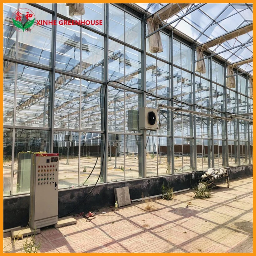 Agricultural Smart Glass Single-Span Greenhouse for Fruits