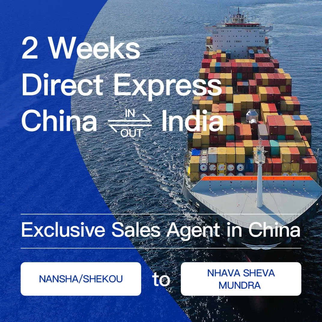 Sea Freight Shipping Agent From Shenzhen/Guangzhou/Shanghai/Ningbo to Jakarta, Manila