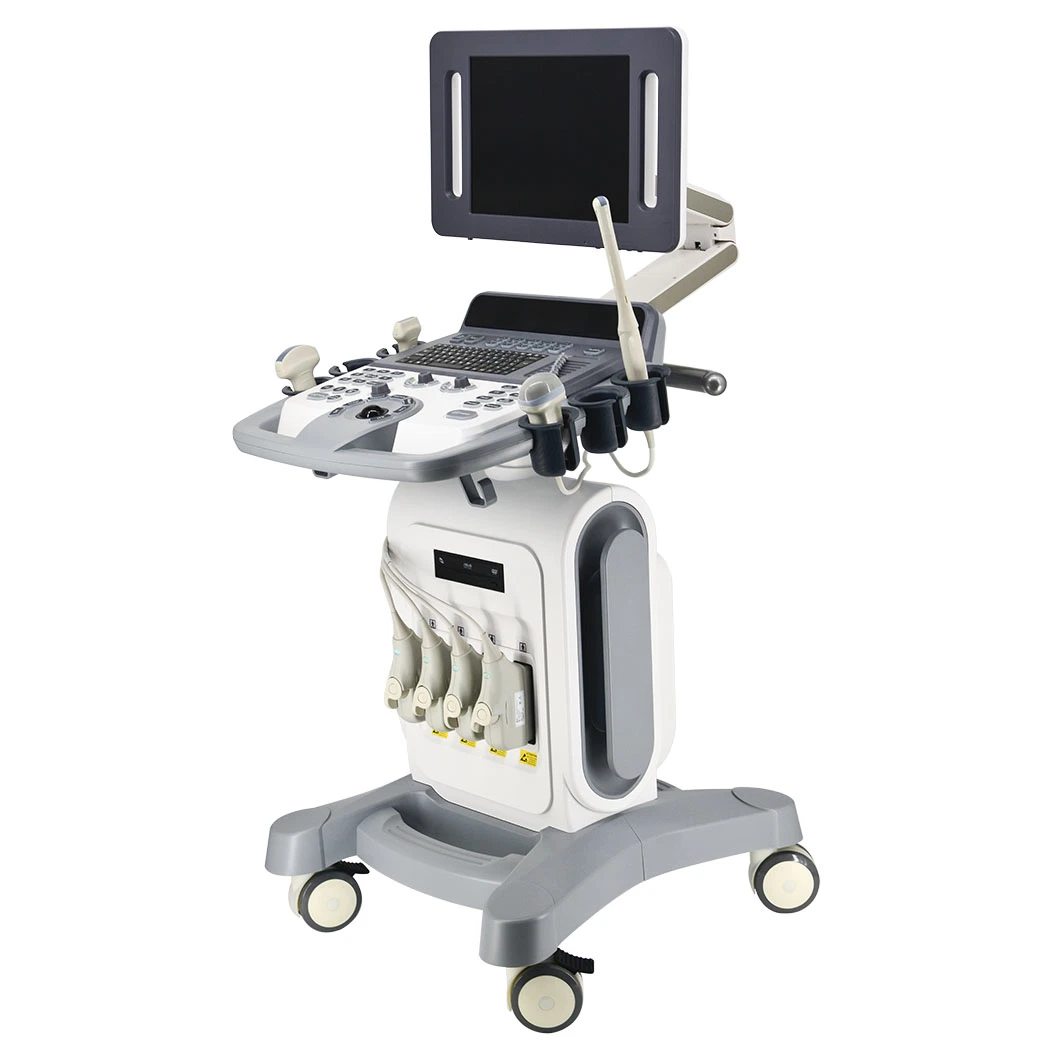 Professional Medical Equipments 3D/4D Trolley Color Doppler Trolley Ultrasound Price