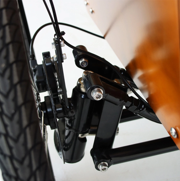 Equilíbrio de oscilação de carga dianteira para criança inclinar a bicicleta de carga elétrica Trike Bicicleta familiar