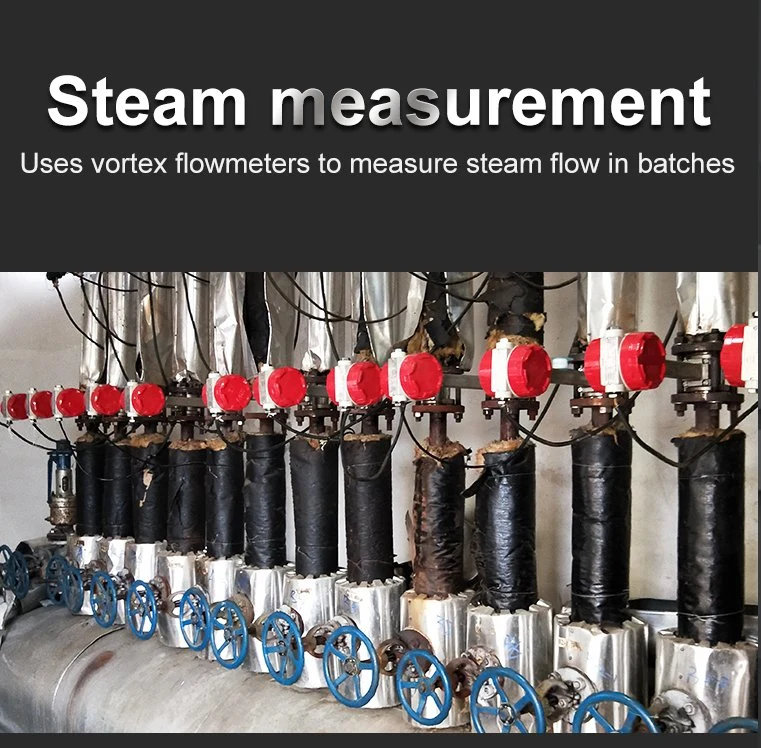 Steam Flow Meter Vortex Type Steam Flow Meter Installation Compressed Air Flow Meter with Data Logger