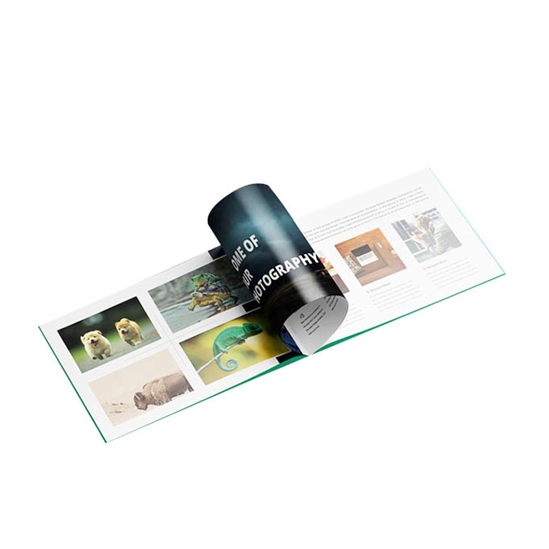 Guangzhou Custom Design Printing Brochure