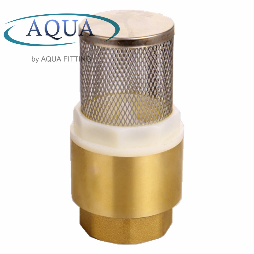 Factory Price 3/4 Brass with Mesh Check Valve Stainless Steel Web Filter Mesh