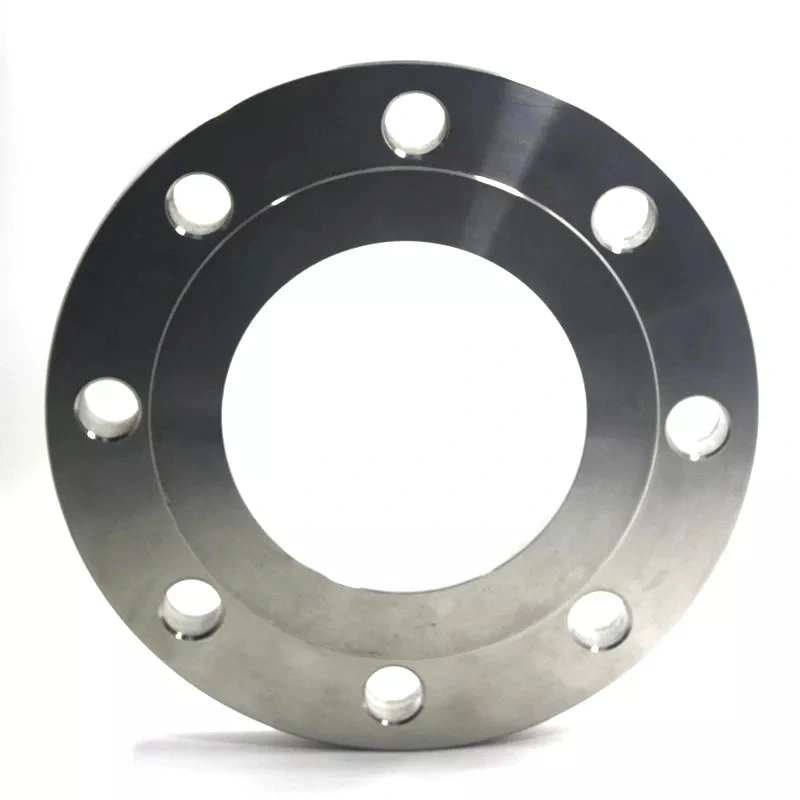 Forged Stainless Steel Flange Ring with Stainless Steel Forging