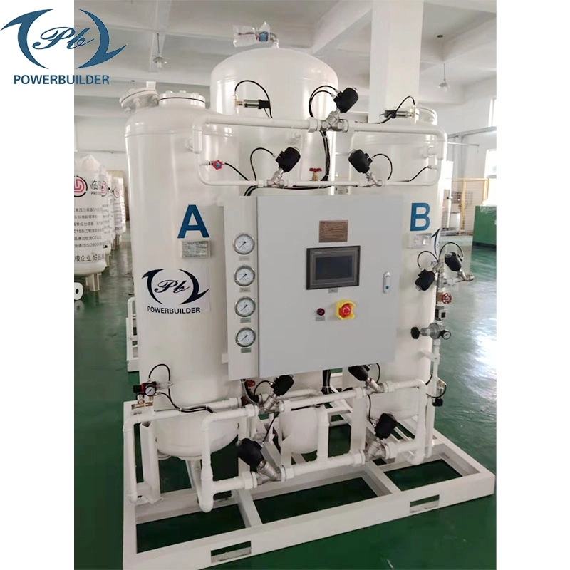 Professional Manufacturer 97%-99.999% N2 Gas Production Machine Psa Nitrogen Generator for Food Packaging