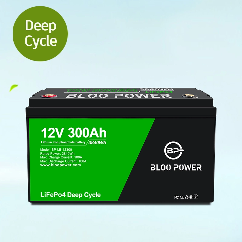 Potência Bloo 12 24 Volt Li-ion Li célula de iões Pack de baterias para o Empilhador Eléctrico Carro de movimentação de material de limpeza do veículo de armazenamento do veículo