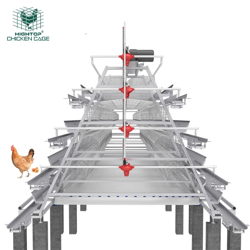 Commercial Chicken Layer Cage Poultry Farm Equipment A Type Poultry Laying  Hens Egg Battery  Cages For Nigeria Farm