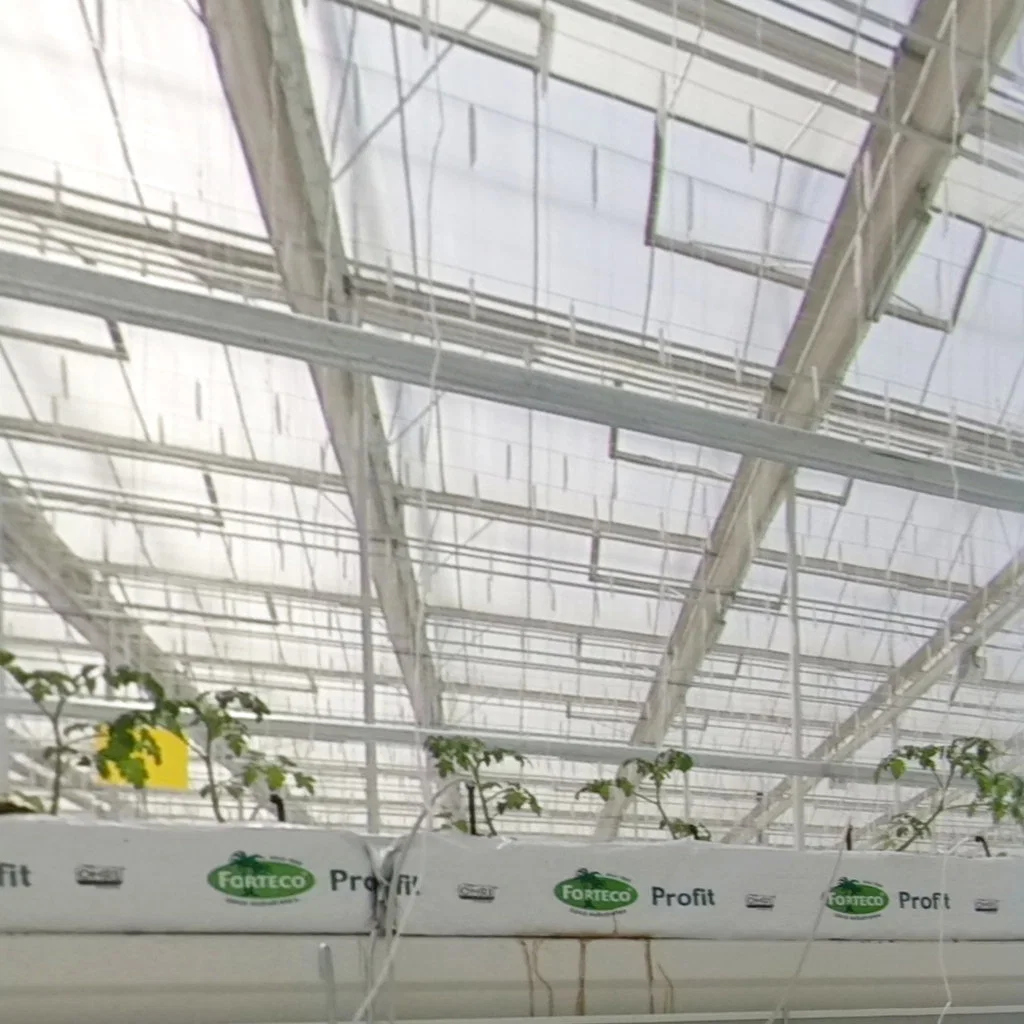 Arco de cultivo Multi-Span Niutou Marca de policarbonato de invernadero para la agricultura Tomato