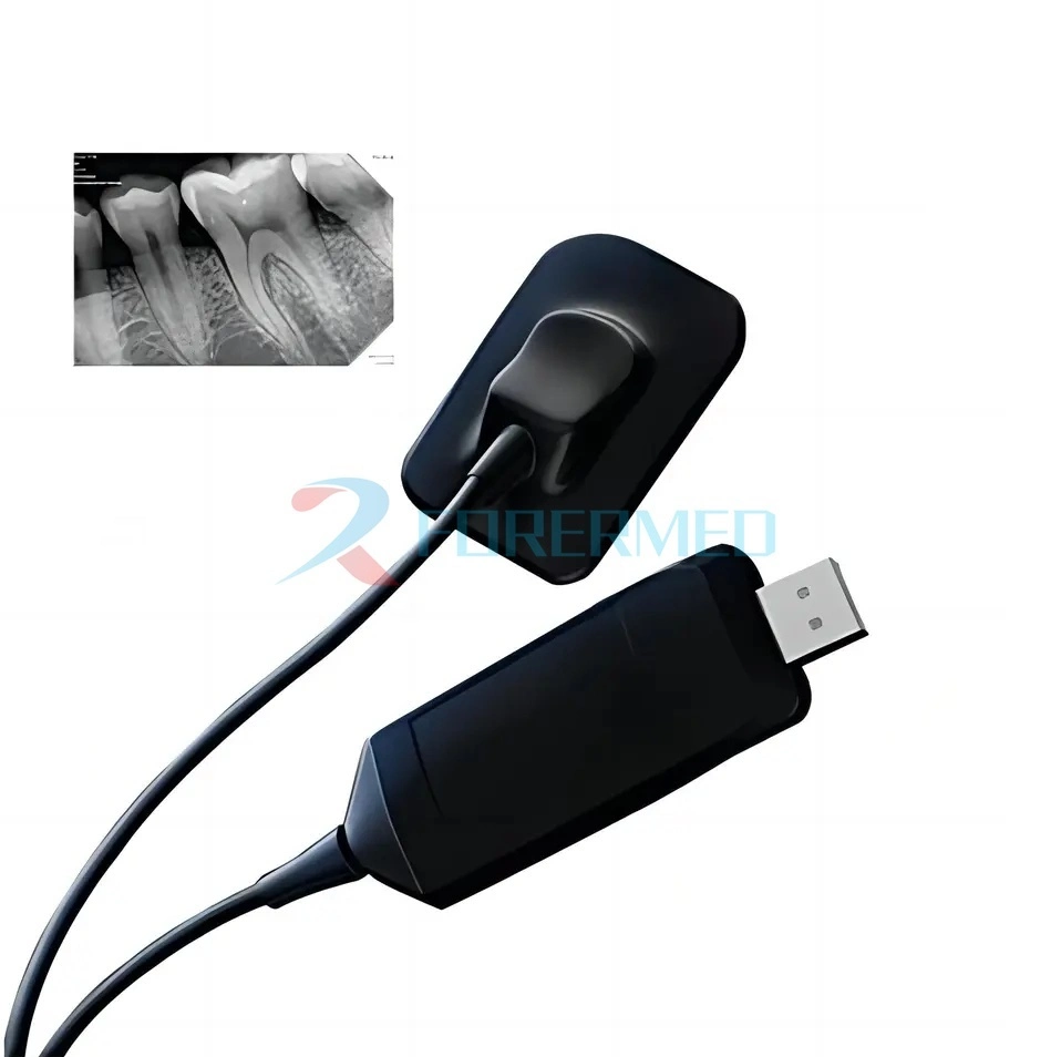 Cheapest Digital Portable Dental X Ray Machine Dental Sensor Digital X Ray Sensor