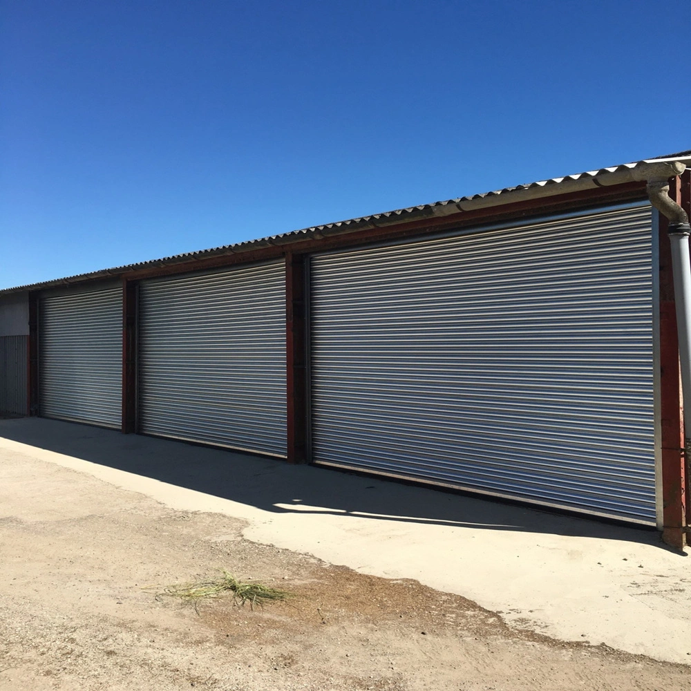 Industrial Fireproof Roller Shutter Door for Warehouse