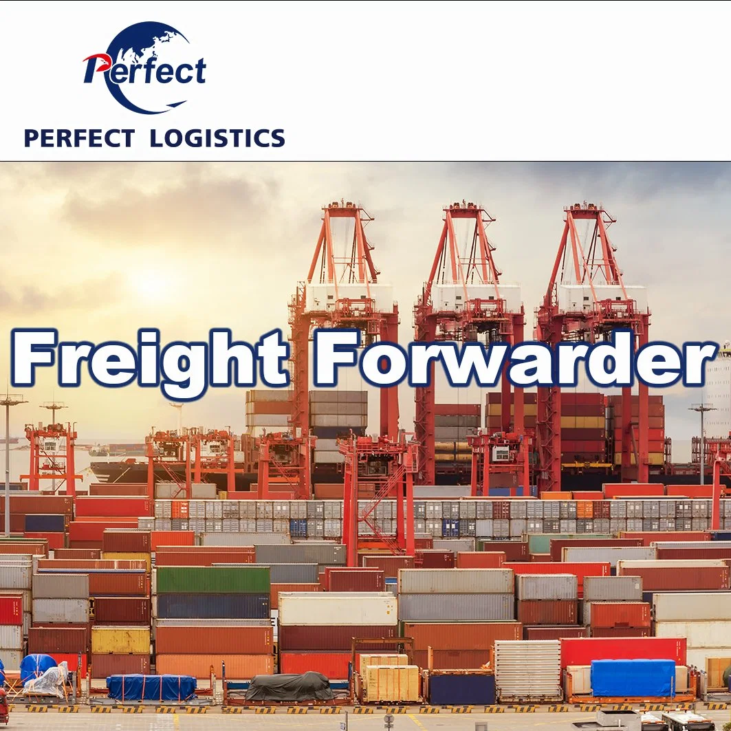 International Sea Freight Shipping Company mit Spediteur