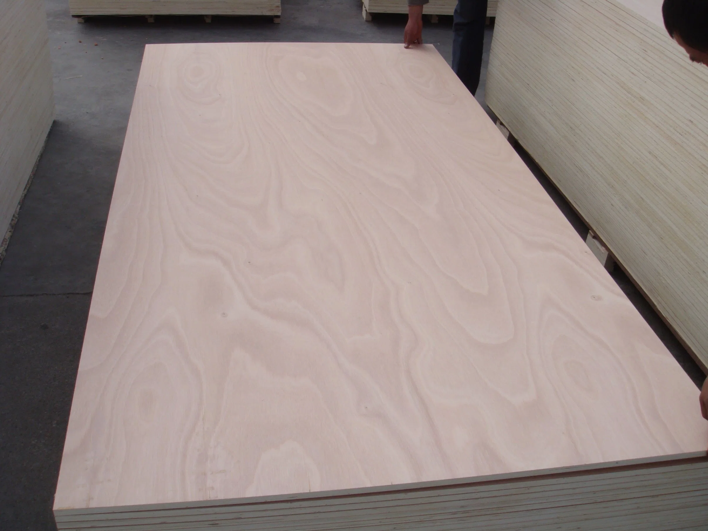 Commercial Poplar Plywood for Furniture and Packing