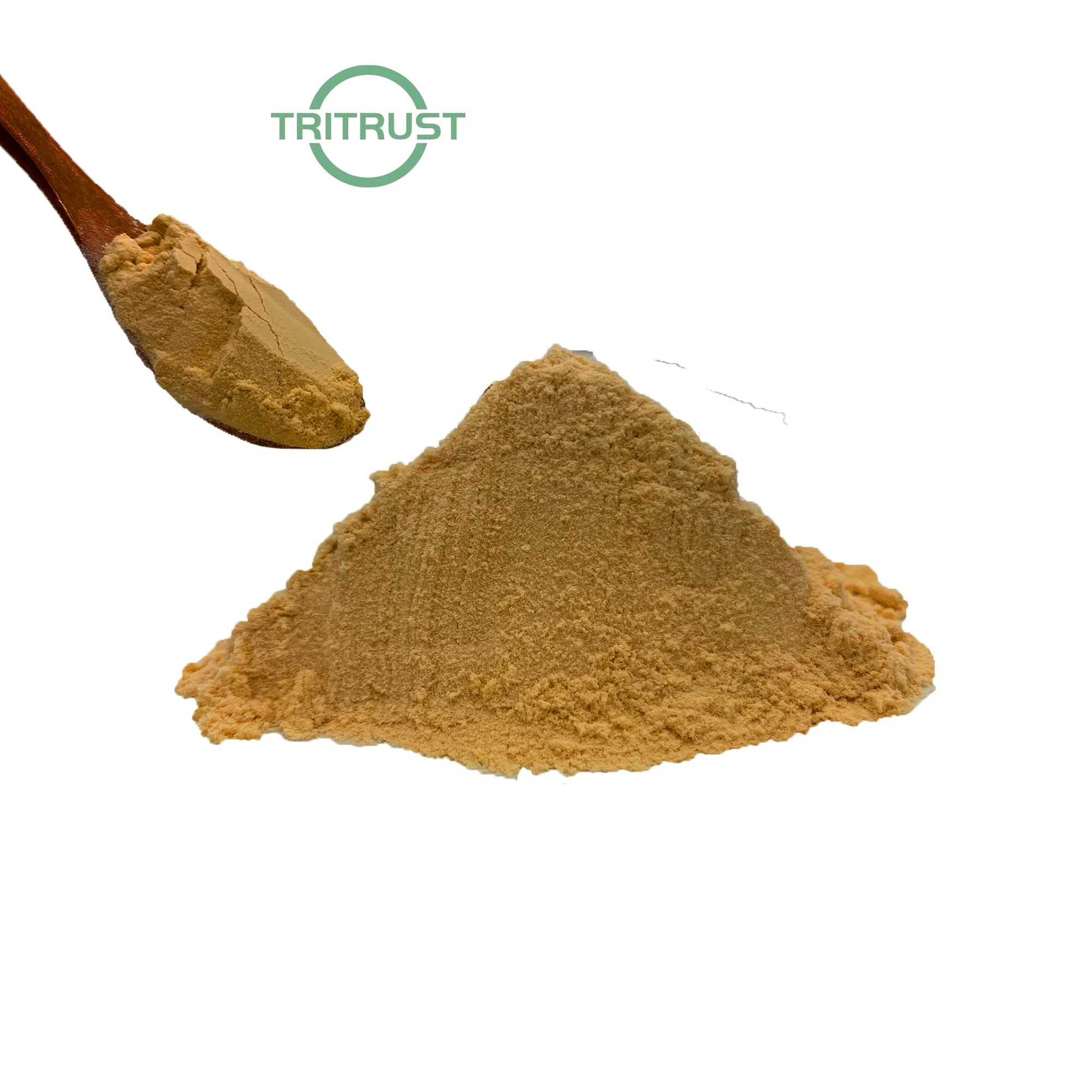 Extrato orgânico de cápsulas de 10% polissacarídeos seco Agaricus blazei Murrill Mushroom Powder Beta - extracto de Glucan Mushroom