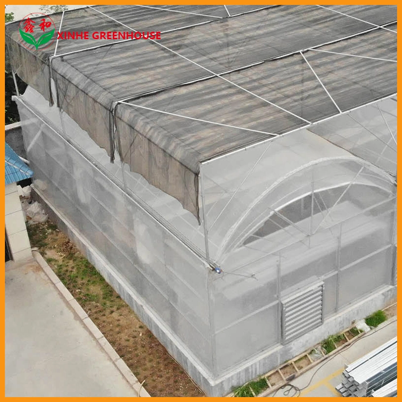 Smart Film Greenhouse with Hydroponic System for Vegetables Flowers