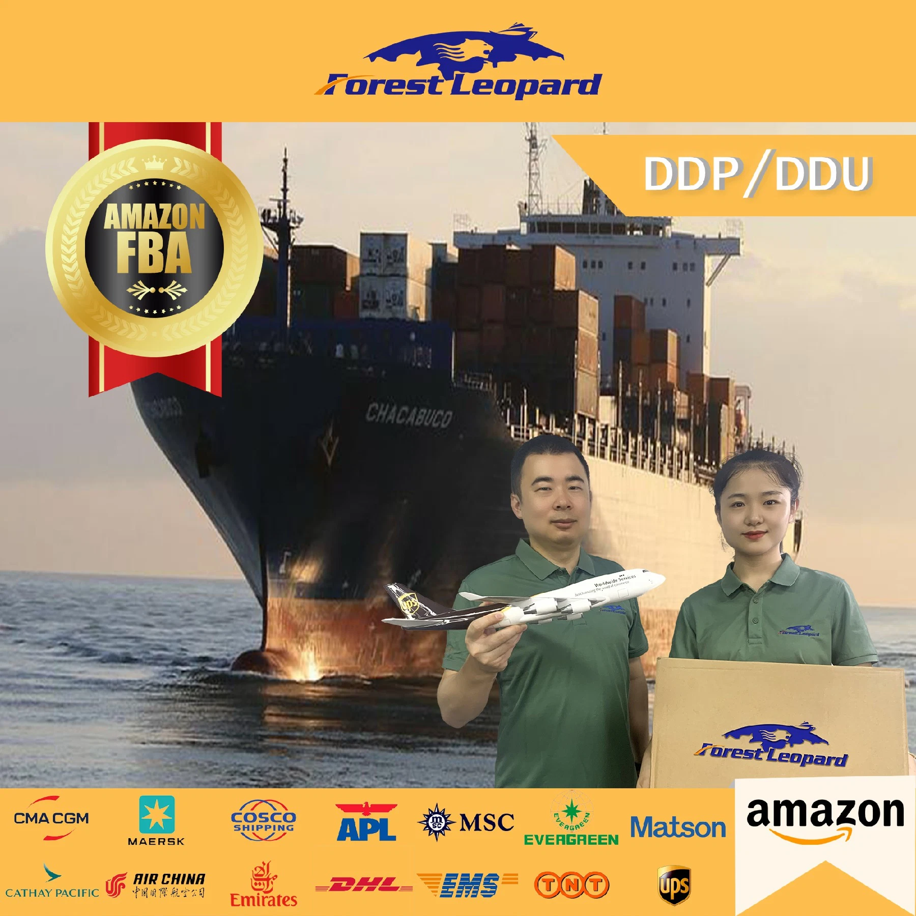 Top 10 Mer transitaire d'expédition transitaire à Zhongshan UK USA Allemagne DDP LCL Amazon FBA