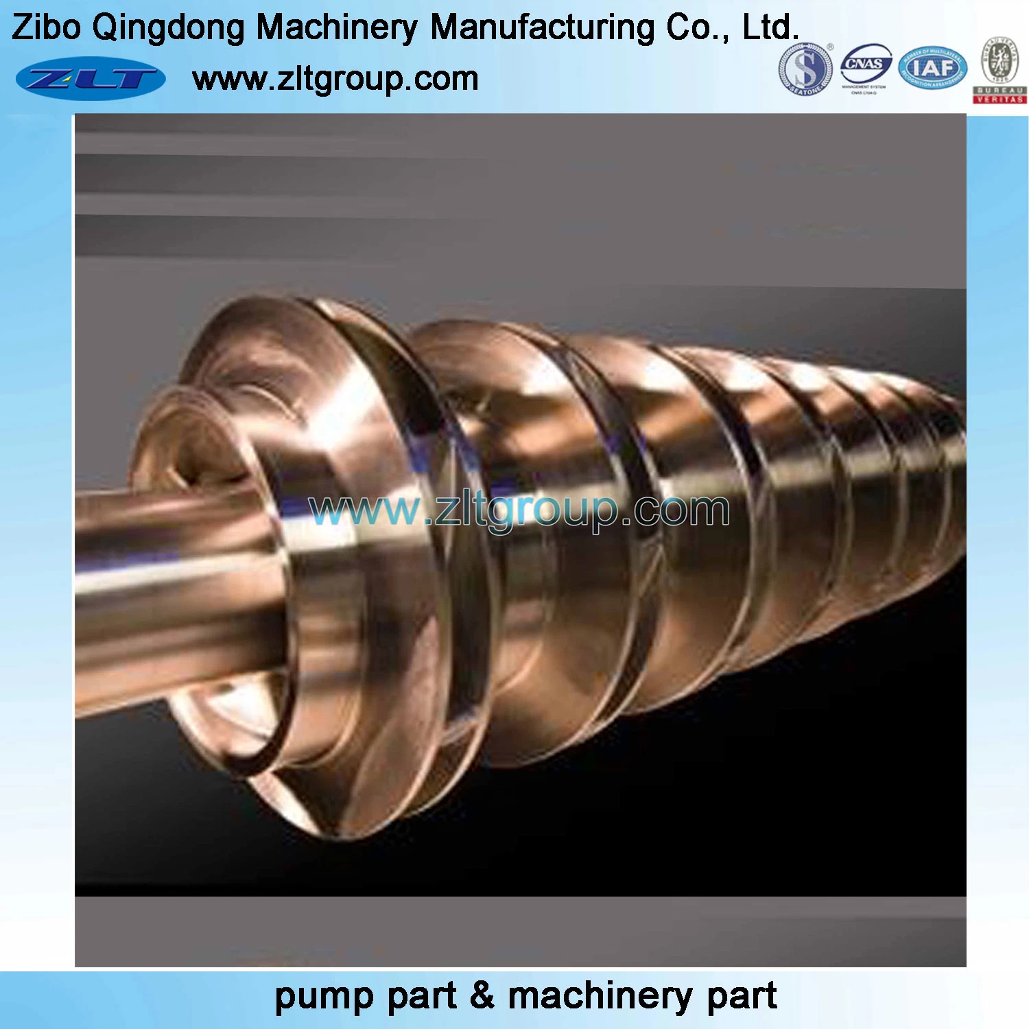 Customized OEM/ODM CNC Machining Shaft in Stainless Steel 316/CD4/304 Used in Machinery Industry