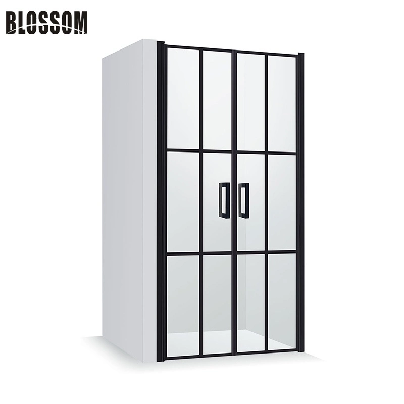 Rectangle Glass Simple Shower Room with Black Frame Hardware