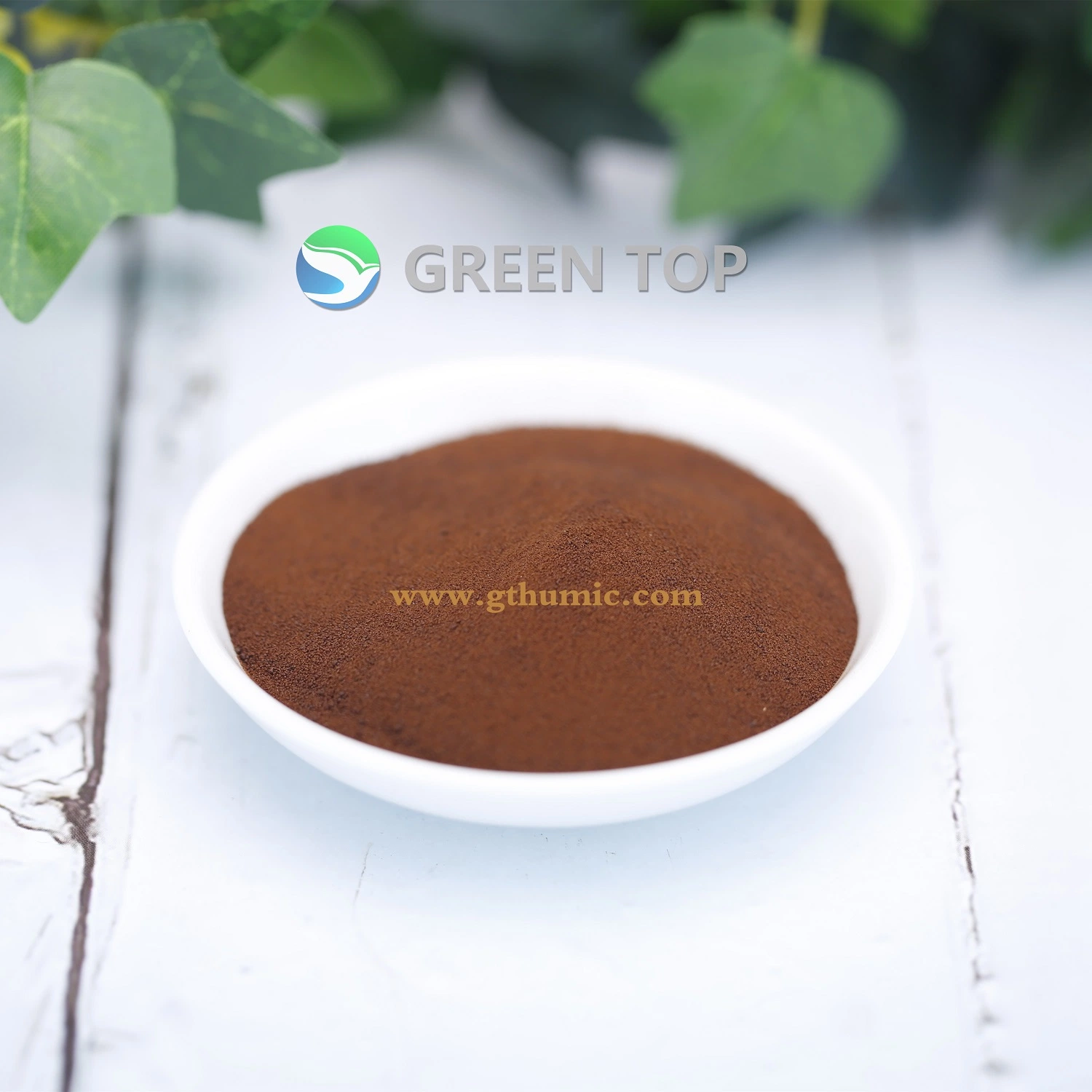 سبوتيل الأحماض الحيوية Fulvic الأحماض Powder High solائبية الأسمدة العضوية