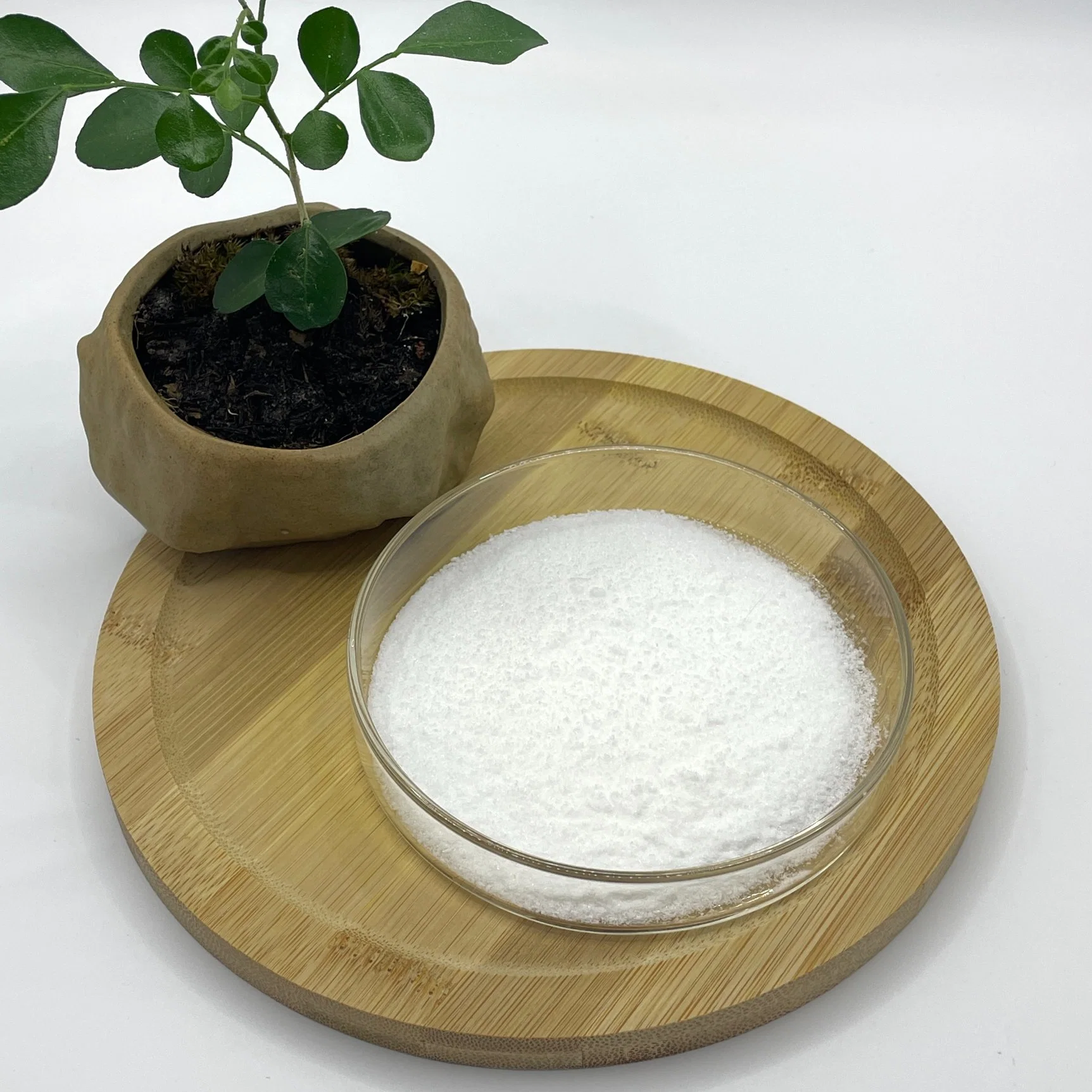 High Purity Health Food Ascorbic Acid Sodium Ascorbate