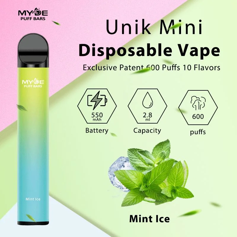 Amerika Europa Top Sale 600 Puff Einweg-Vape Pen