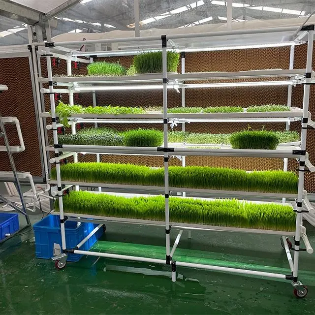 Container Greenhouse with Automatic Control System and Water Circulation System