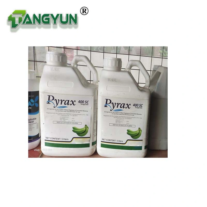 Aniline - Based Pyrimidine Fungicide Pyrimethanil 40%Sc