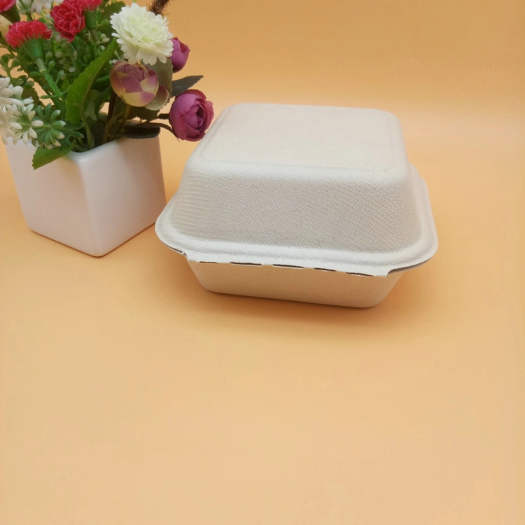 Food Grade Compostable Lunch Box Sugarcane Bagasse Disposable Bio Degradable Container